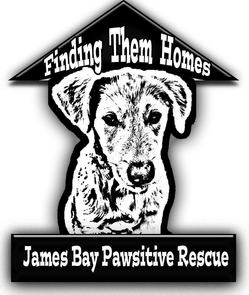 Clinics Community Donators Events Fundraisers Rescues - Finding Them Homes Logo (806x957), Png Download