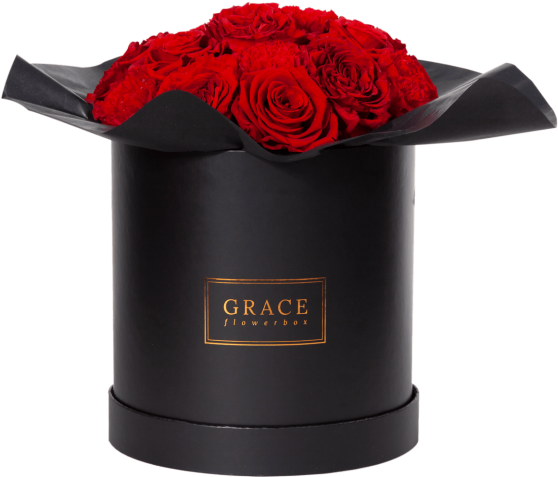Atomic Red - Garden Roses (600x577), Png Download