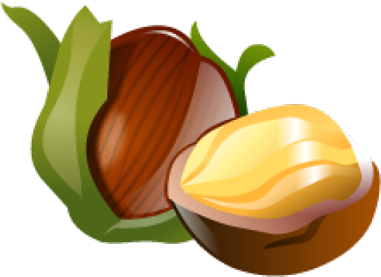 Hazelnut Icon Png (640x480), Png Download