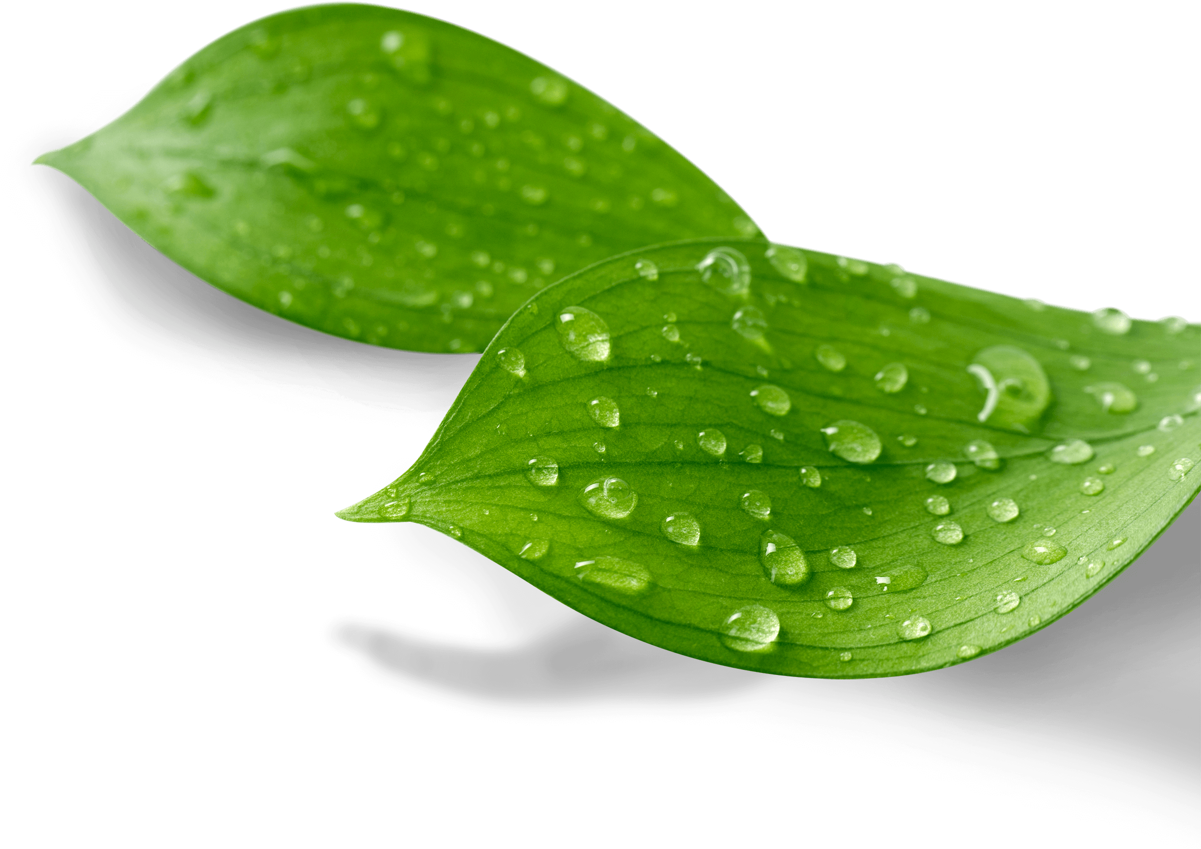 See More About Esg » - Les Clés De La Paix Intérieure (2496x1780), Png Download