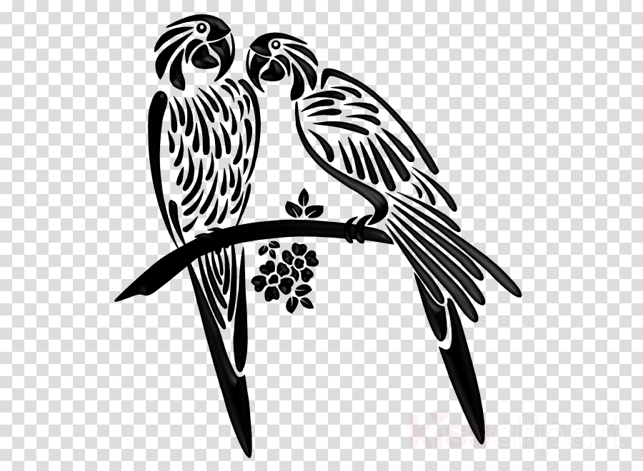 Illustration Clipart Parrot Beak Bird - Parrot Silhouette (900x660), Png Download
