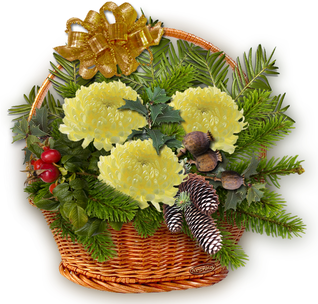 Autumn Decorations, Blog, Ikebana, Bonsai, Landscapes, - Badzout Dennennaald, Tegen Acne / Droge Huid / Spierpijn (650x639), Png Download