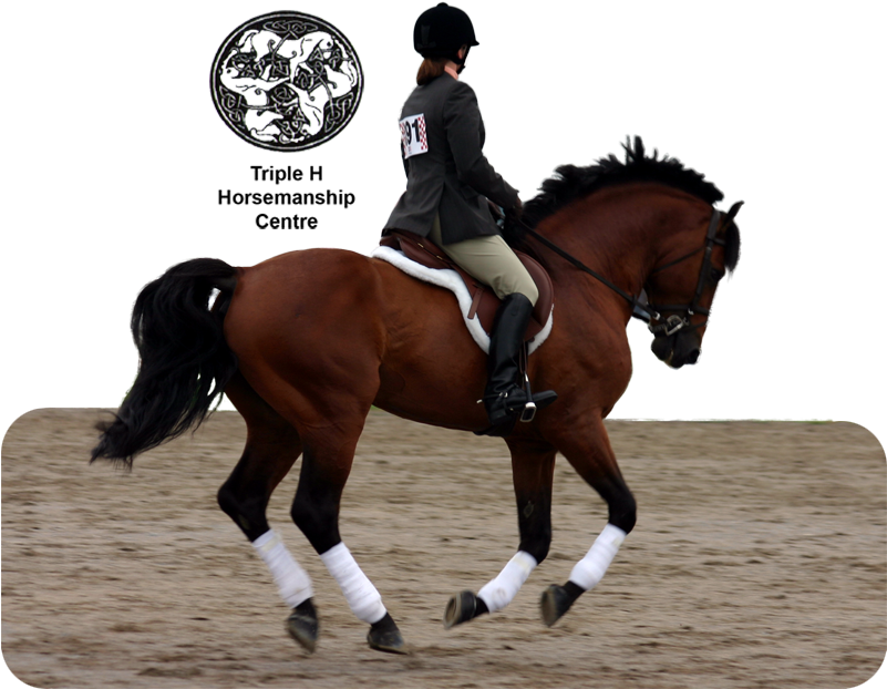 899109 50578585 - Teaching Tips For Horseback Riding Instructors (800x640), Png Download