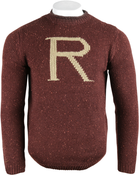 Ron Weasley (528x600), Png Download