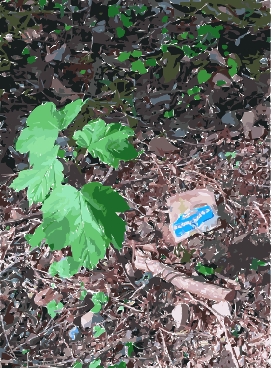 Soil Lawn Groundcover Leaf Branching - Soil (552x750), Png Download