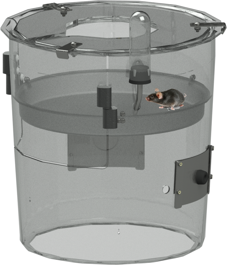 Cage (744x869), Png Download