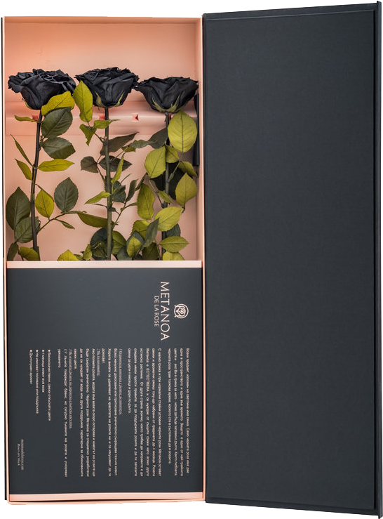 Luxury Set Of Black Roses - Rose (640x896), Png Download