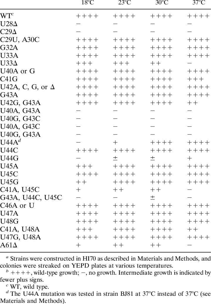 Growth Phenotypes Of U2 Mutations A U2 Allele Growth - Occupational Health And Safety Report (719x1036), Png Download