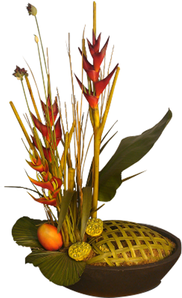 Tropical Heliconia - Heliconia (600x600), Png Download
