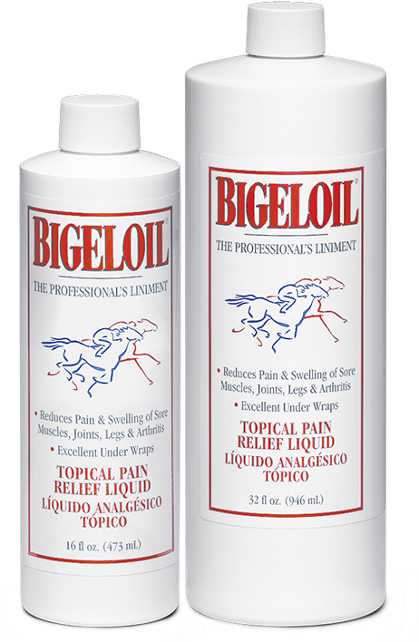 Bigeloil - W F Young Inc 427947 Bigeloil 14oz Liquid Gel 155552 (1000x1000), Png Download