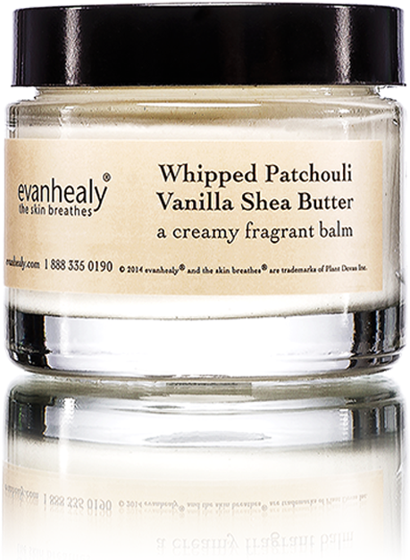 Whipped Patchouli Vanilla Shea Butter - Evan Healy Whipped Shea Butter (1224x1204), Png Download