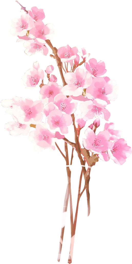 Report Abuse - Lisa (1024x1385), Png Download