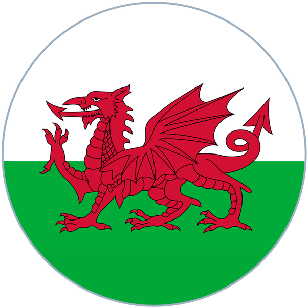 Swegway-pro Uk Have Experienced A Growth In Sales Over - Welsh Flag Circle (960x640), Png Download