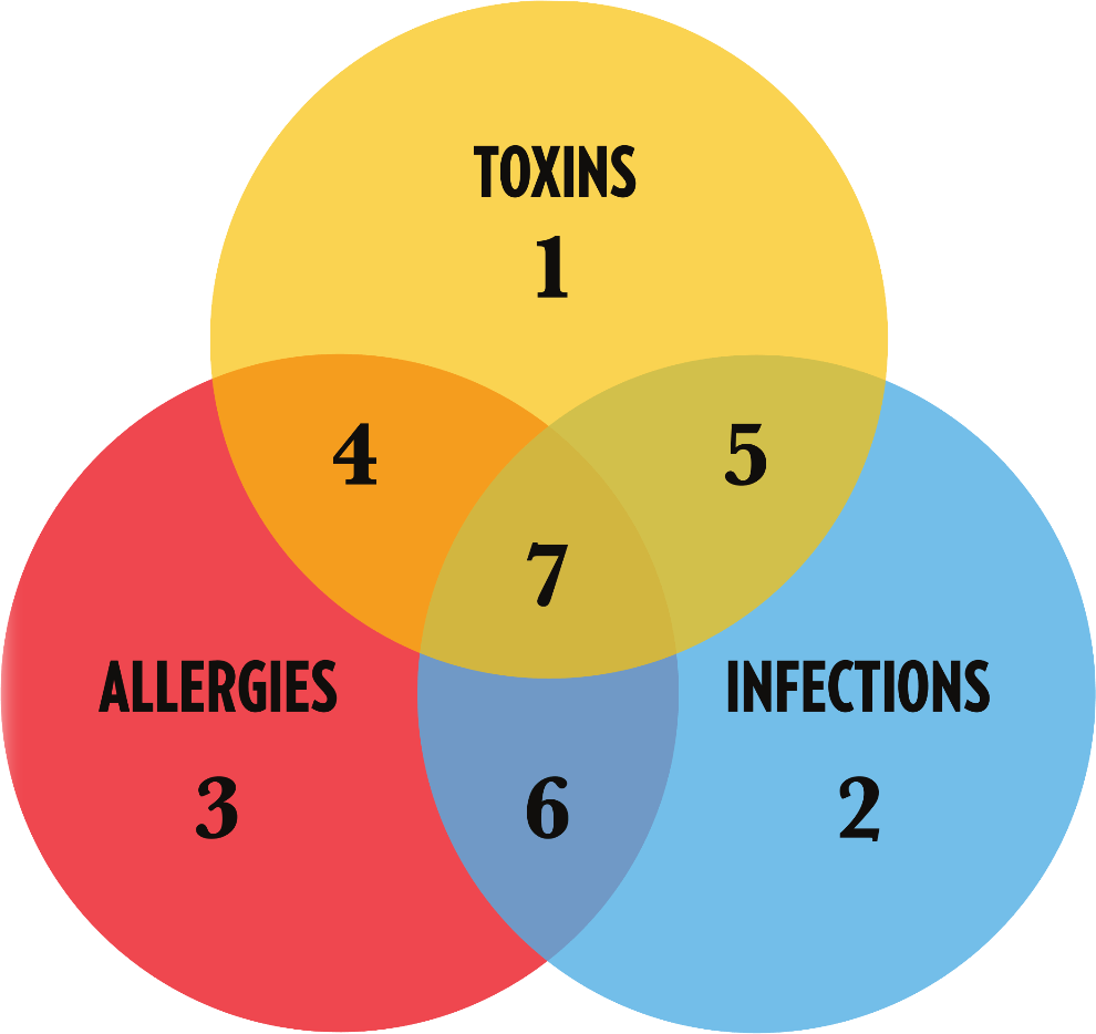 The Quicksilver Scientific Health System - Diagram (990x934), Png Download