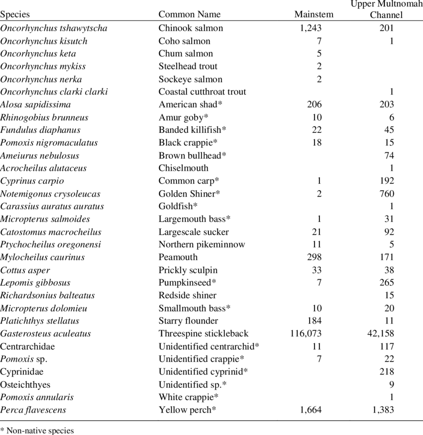 Fish Species Captured In Reach E/f Of The Columbia - Multnomah Channel (850x874), Png Download