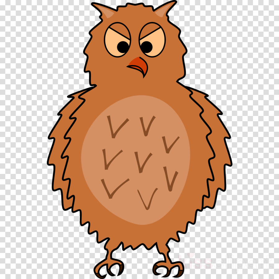 Enraged Owl Front View, Spread Wings Clipart Owl Bird - Clip Art (900x900), Png Download