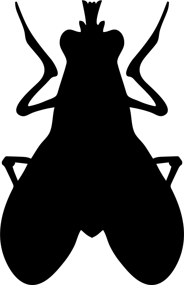 Png File Svg - Insect (634x981), Png Download