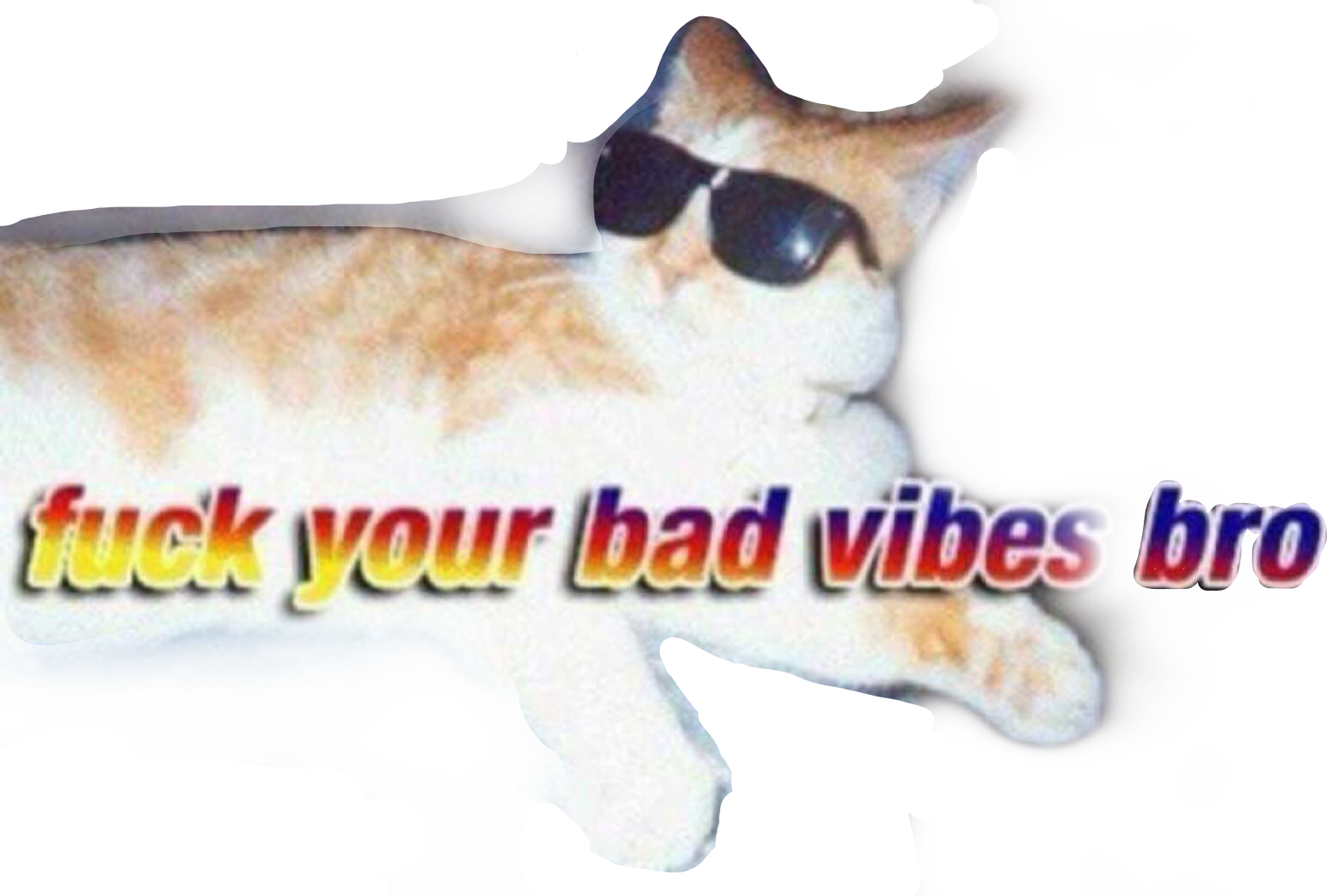 Badvibes Cat Sunglasses Meme Funny Depr Png Memes Animals - Fuck Your Bad Vibes Bro Cat (1543x1042), Png Download