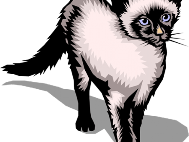 Siamese Cat Clipart Siamese Twin - Veterinary Wall Clock With Cat (640x480), Png Download