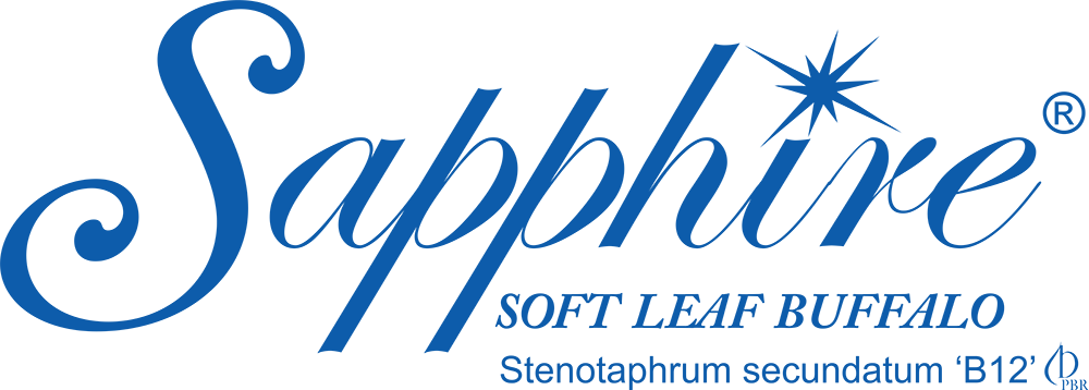 Sapphire Logo 210218 2s Glenview Turf - Sapphire Buffalo Logo (1000x358), Png Download