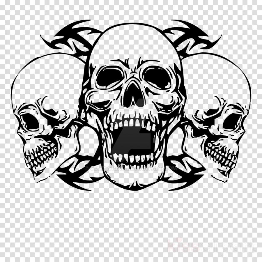 Png Skull Clipart Clip Art - Skull Clips Arts (900x900), Png Download
