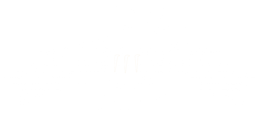 Whitelogo - Foam In The Dome (1024x453), Png Download