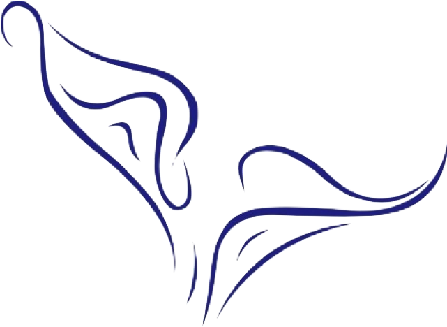 Calla Lily Clipart Religious - Calla Lily Vector Png (640x480), Png Download