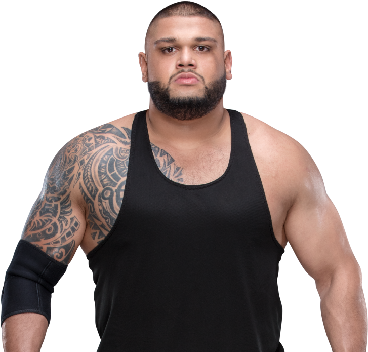 Akam - Akam Wwe (1000x707), Png Download