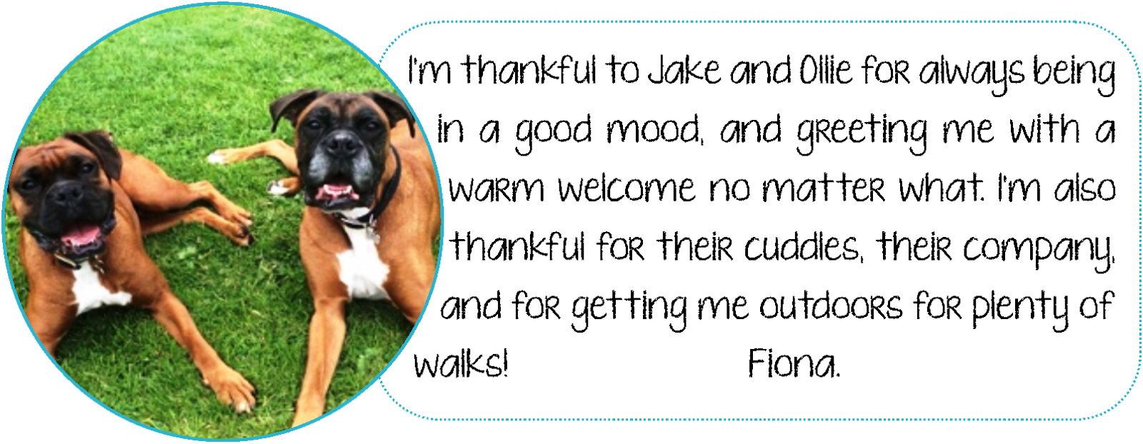 In Honour Of World Animal Day, The Education And Community (1600x622), Png Download