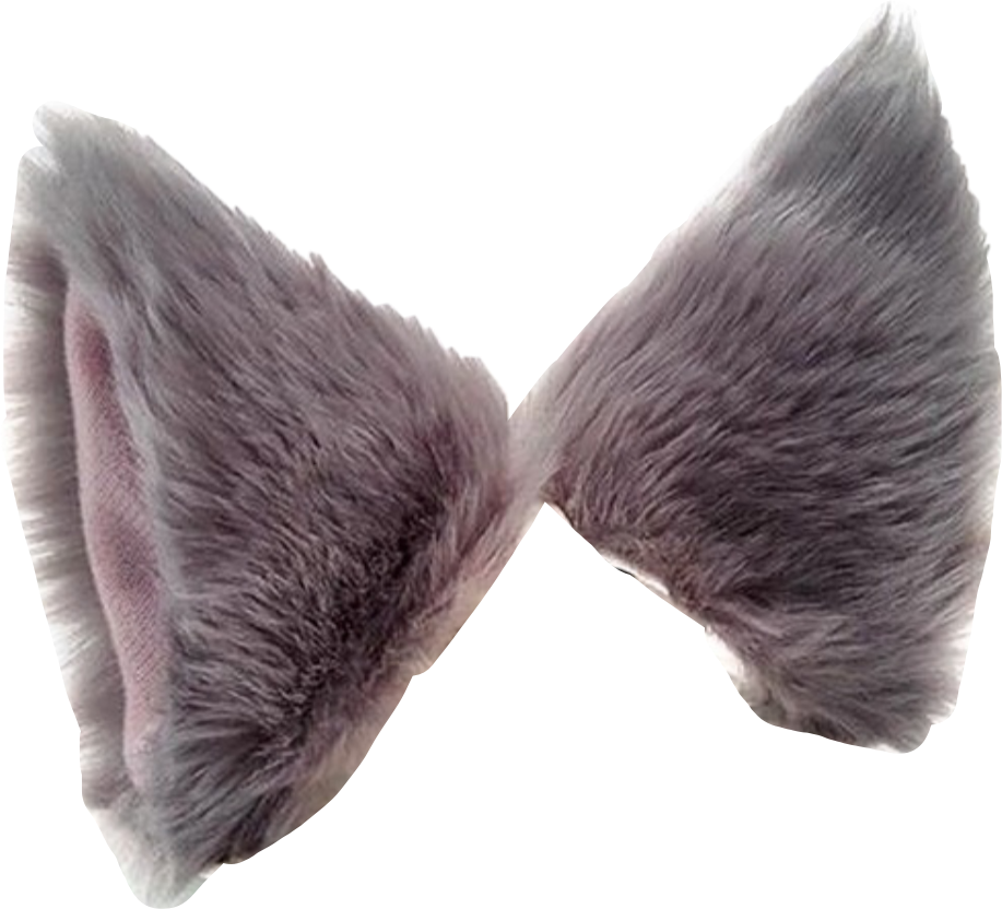 Ears Costume Cosplay Gray Grey Cheshire Cat Wolf Freeto - Lace Wig (917x832), Png Download