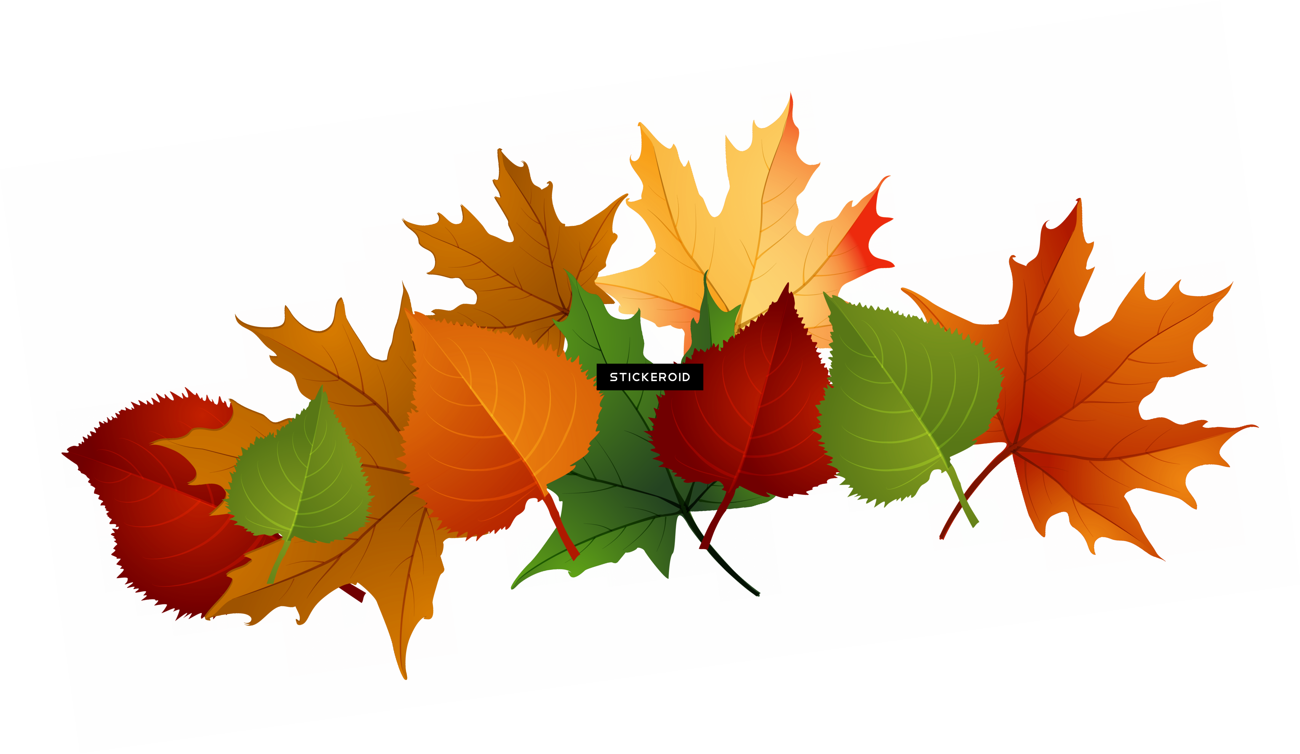 Autumn يترك Png صورة شفافة - Fall Clipart Transparent Background (4388x2546), Png Download