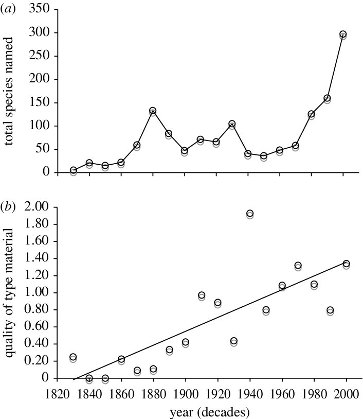 Naming New Dinosaurs - Common Fig (706x814), Png Download