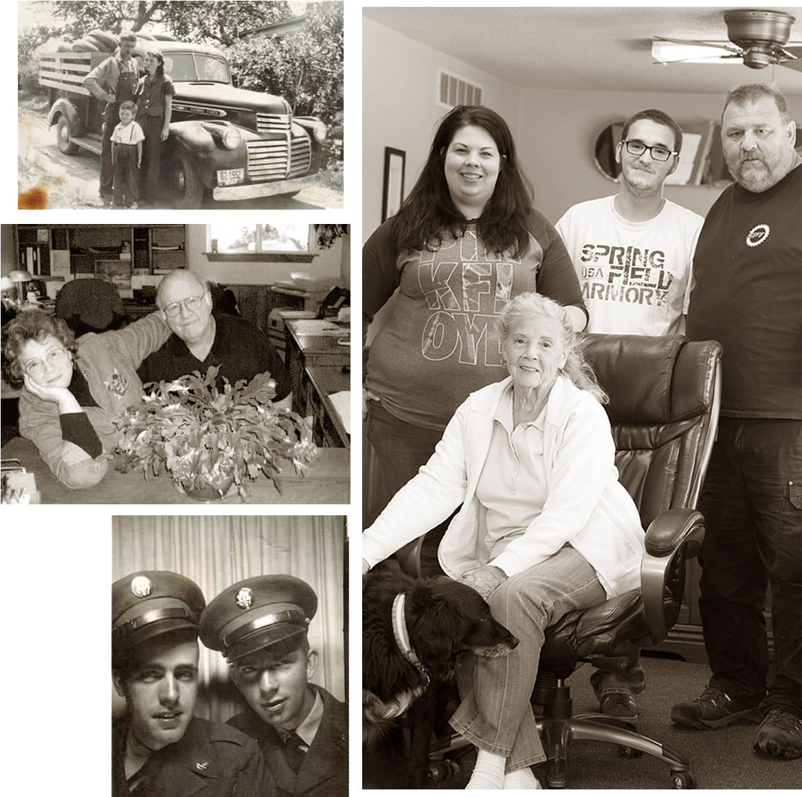 Family Roots - Photograph (1200x1200), Png Download