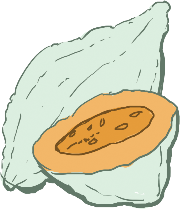 Squash Clipart Winter Squash - Hubbard Squash Clipart (748x846), Png Download