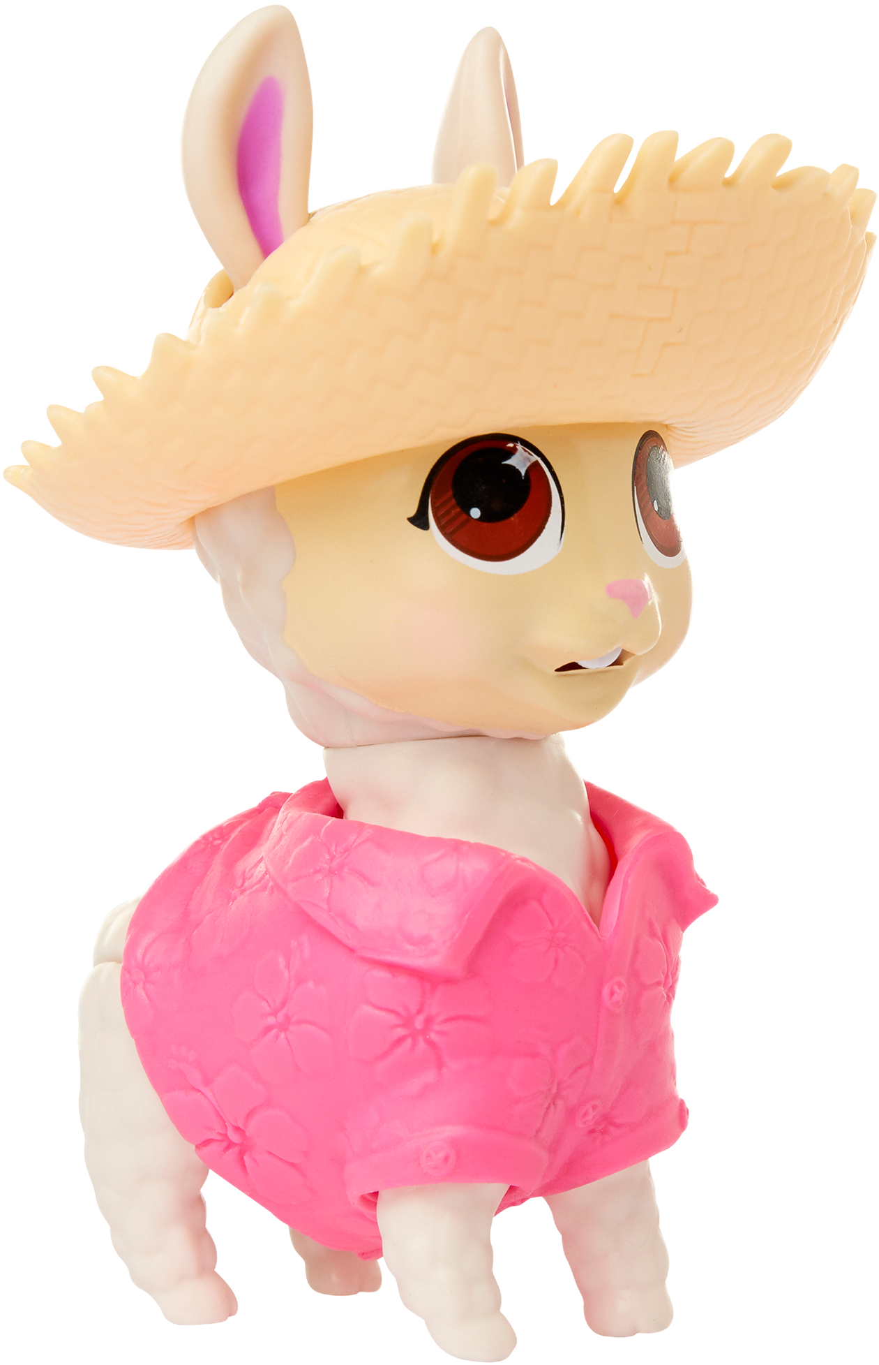 Bahama Llama - Llama (2000x2000), Png Download