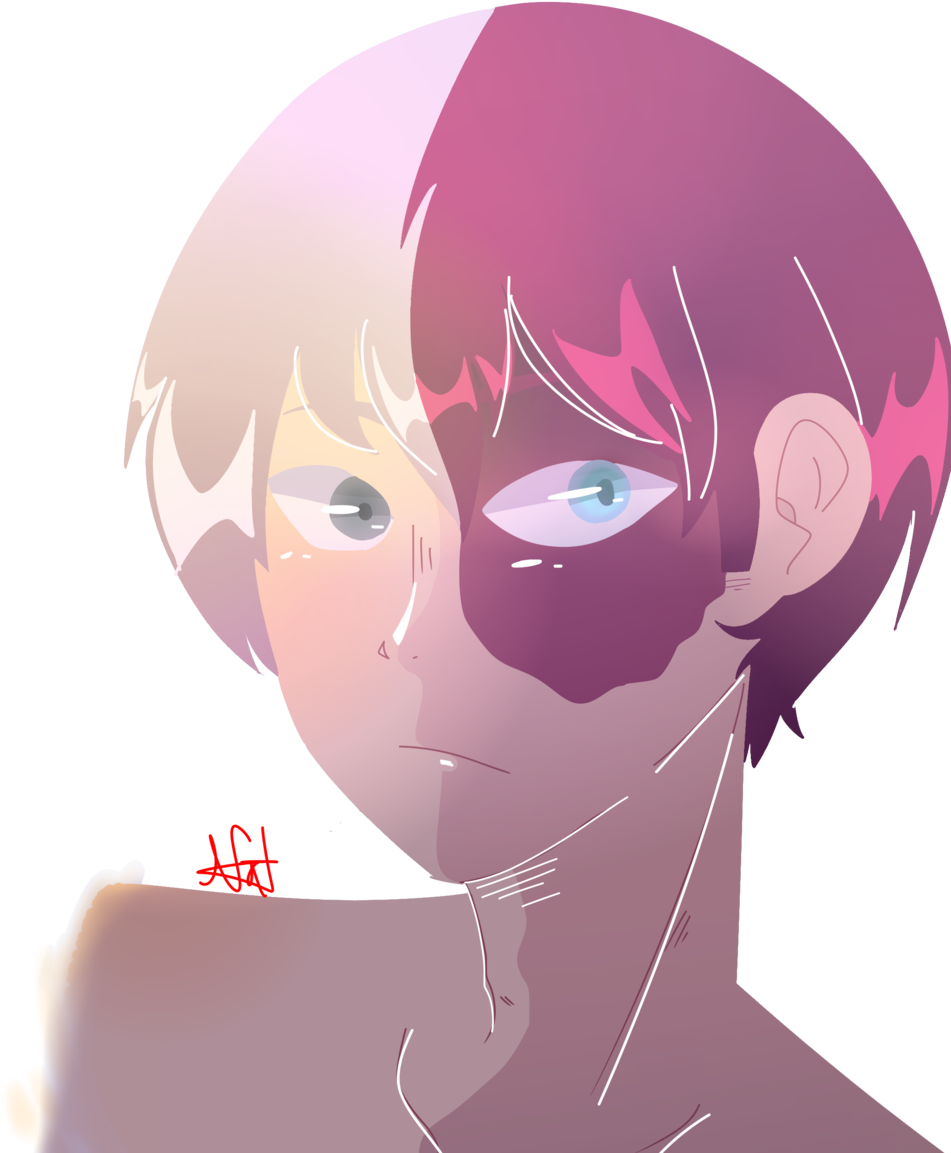Todoroki - Illustration (960x1280), Png Download