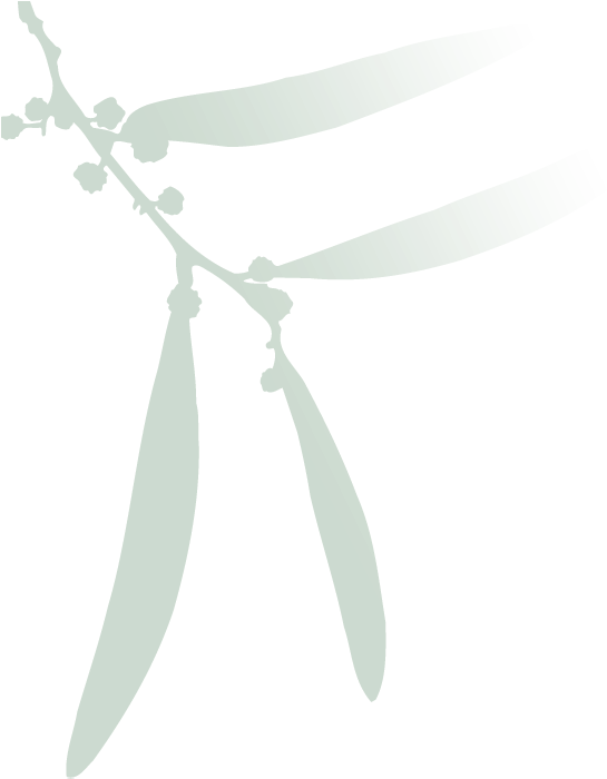 Earrings (550x716), Png Download