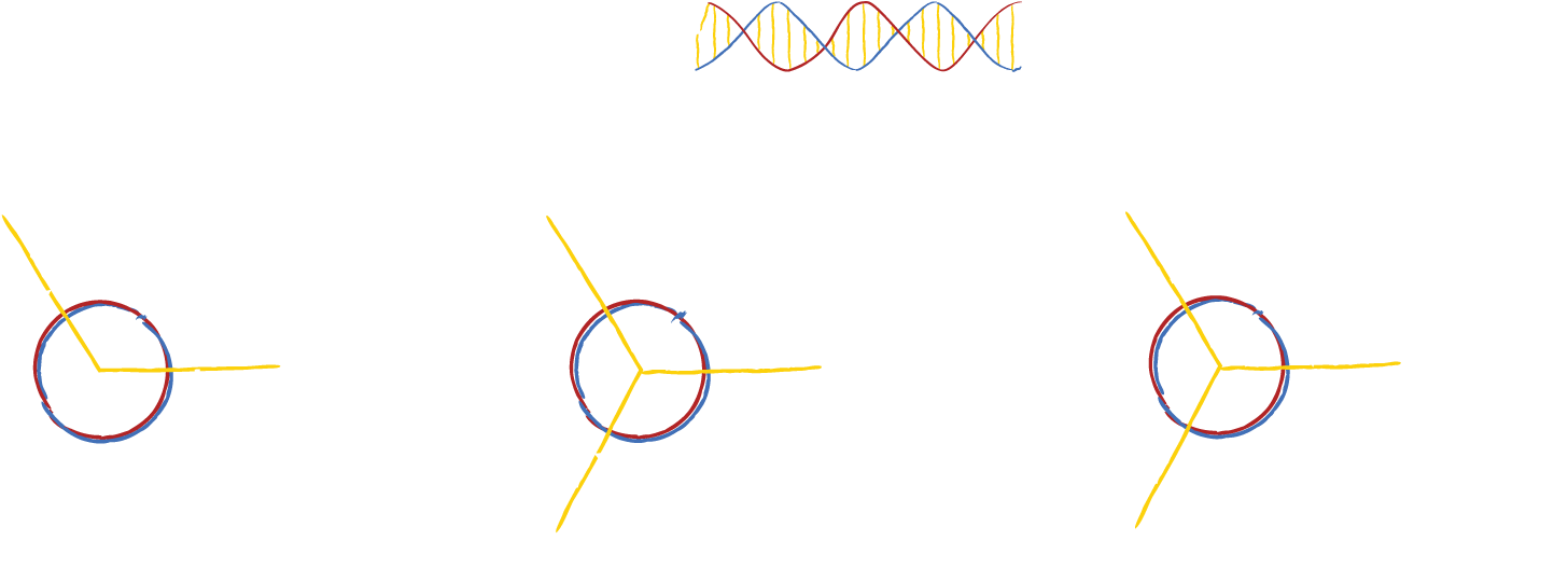 By Routing Strands Of Dna In And Out Of Several Adjacent - Circle (1455x549), Png Download