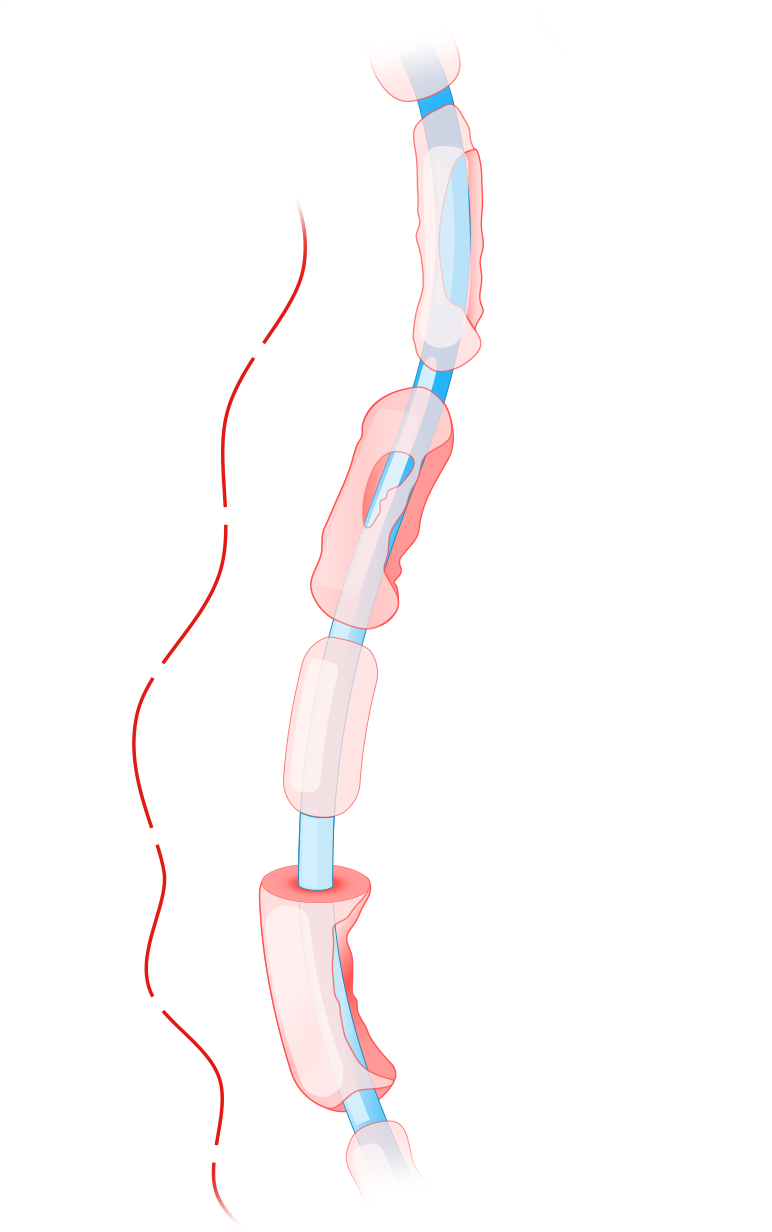 Rosenberg, "neurological Diseases In Relation To The - Illustration (800x1600), Png Download