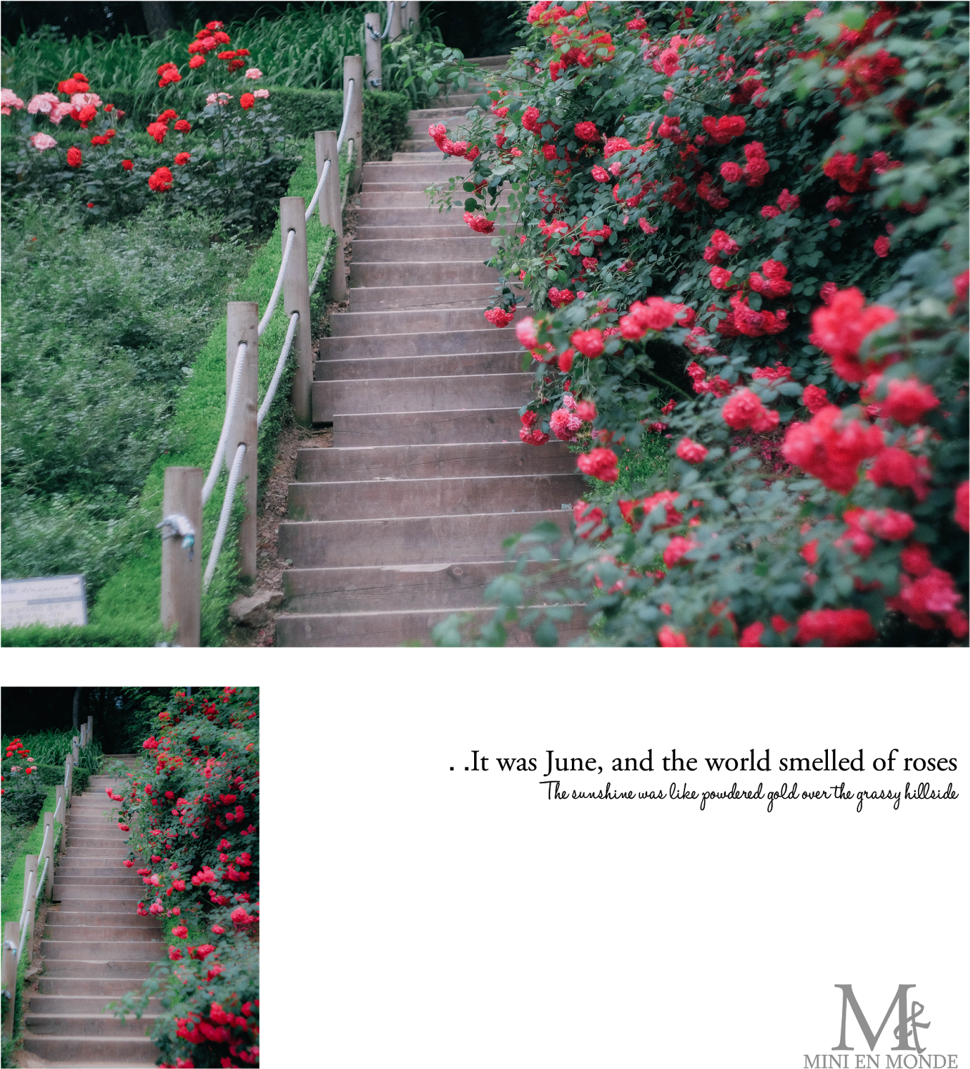 They Are So Pretty Right And Here In Bucheon They Have - Walkway (1434x1600), Png Download