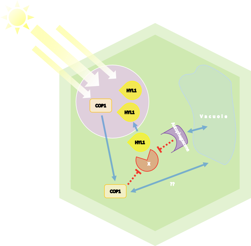 Rna Biology (863x844), Png Download