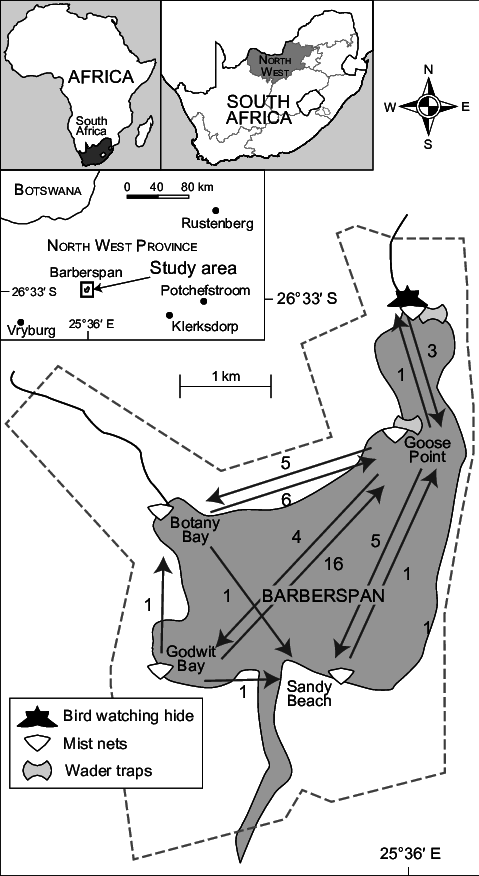 Symbols Show The Location Of Mist Nets And Wader Traps - Barberspan Bird Sanctuary (479x876), Png Download