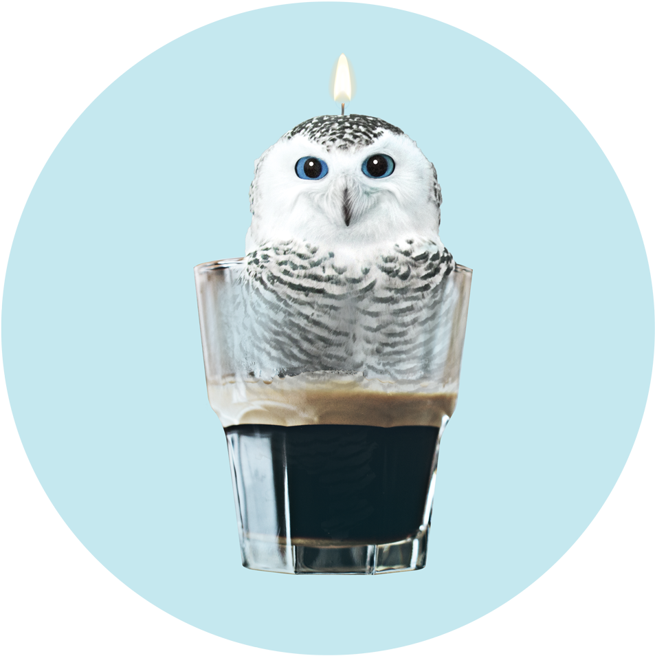 Your Coffee Lights My Fire - Snowy Owl (1000x1001), Png Download