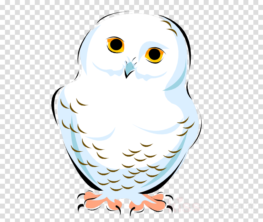 Snowy Owl Clip Art Clipart Snowy Owl Clip Art - Hedwig Owl Clipart Transparent (900x760), Png Download