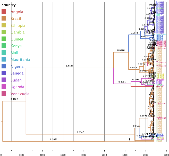 Tree Arranged By Country - Diagram (783x605), Png Download