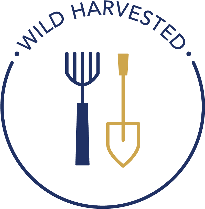 Follow Us - Dnv Iso 14001 Logo (897x896), Png Download