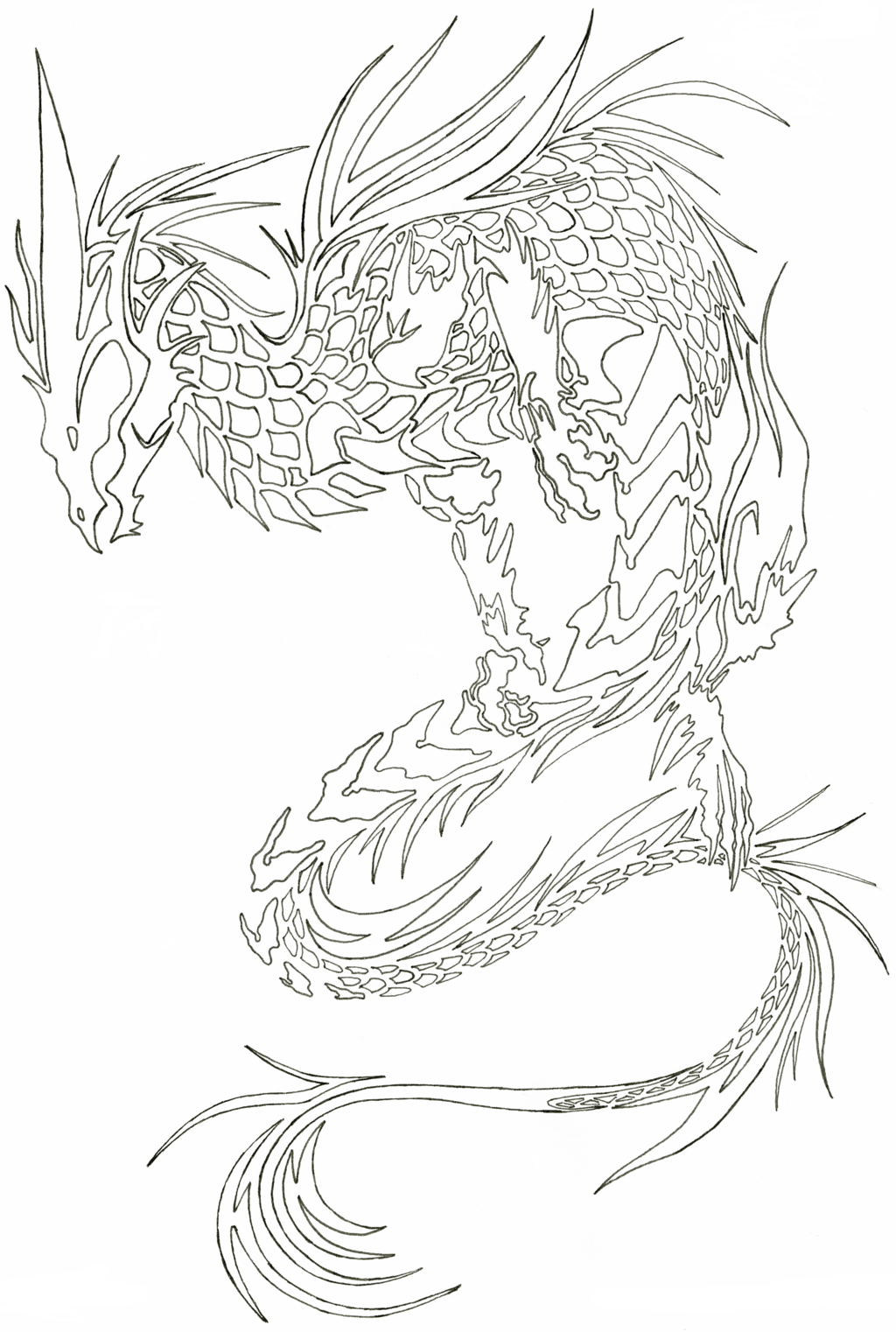 At Getdrawings Com Free For Personal Use - Line (1024x1522), Png Download