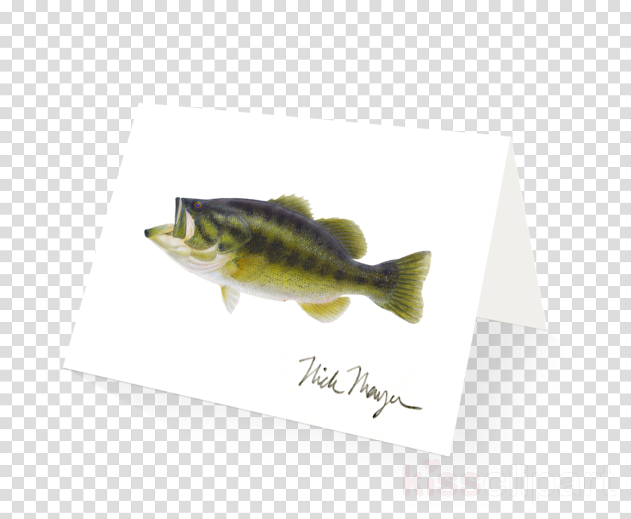 Art Clipart Largemouth Bass Art Painting - Paper With Ripped Edges (900x740), Png Download