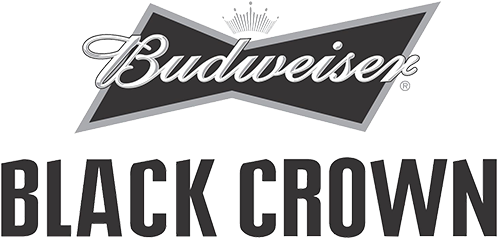 Single Portfolio Images - Logo (500x500), Png Download