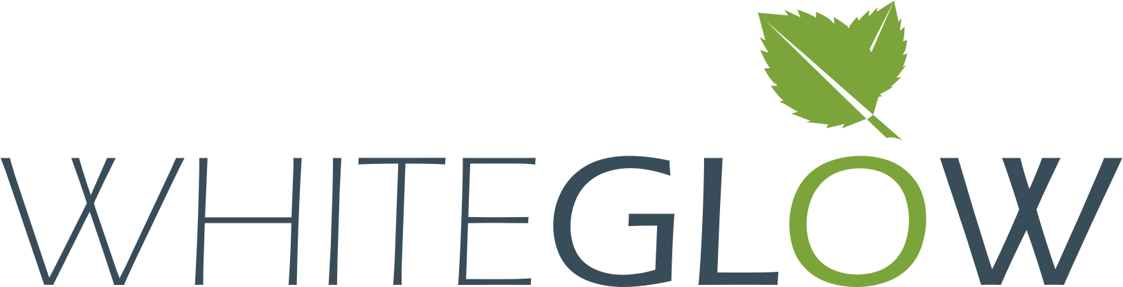 Our Collections (1622x415), Png Download